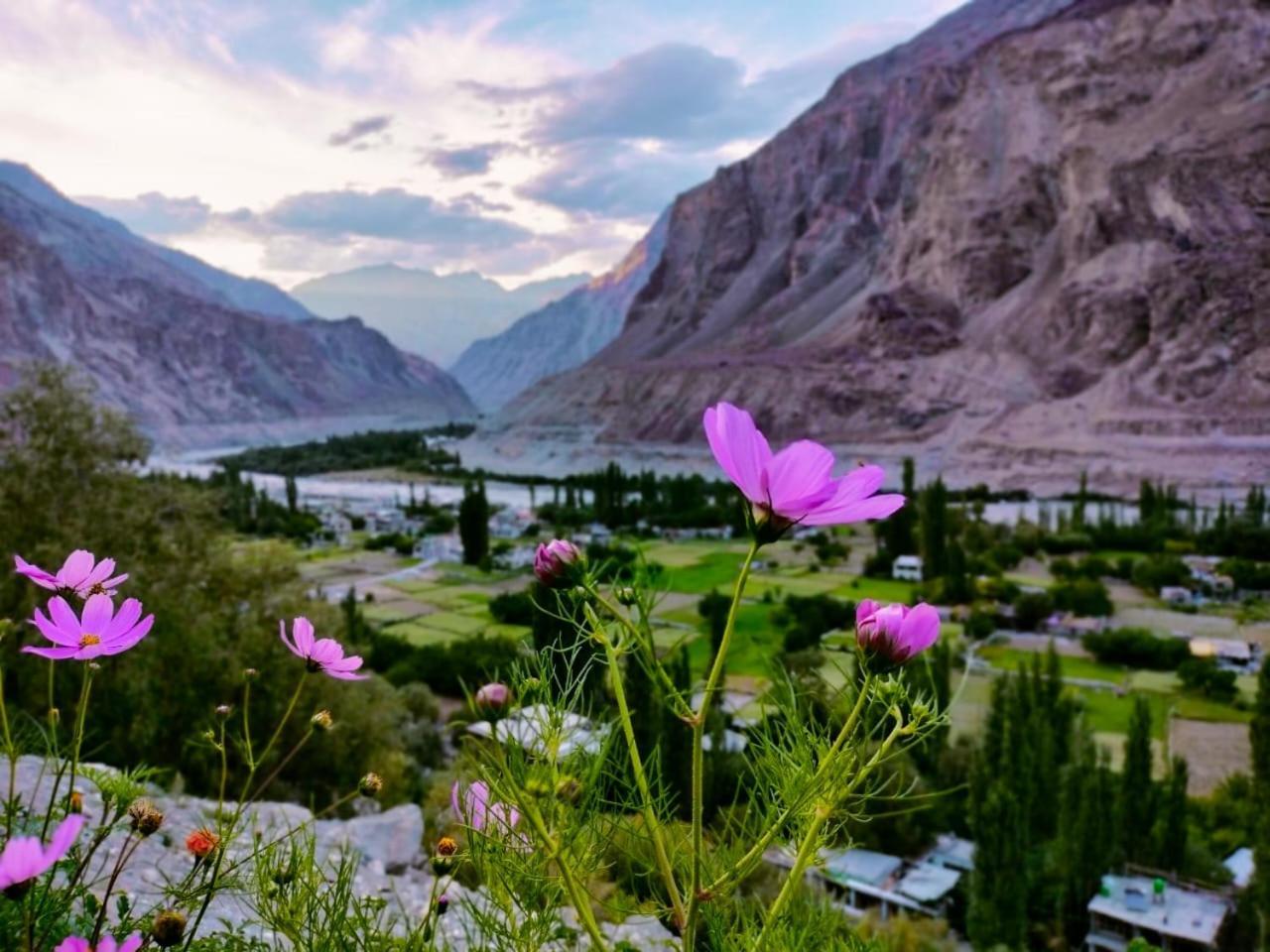 Hotel The Stone Palace-Turtuk Valle di Valle di Nubra Esterno foto