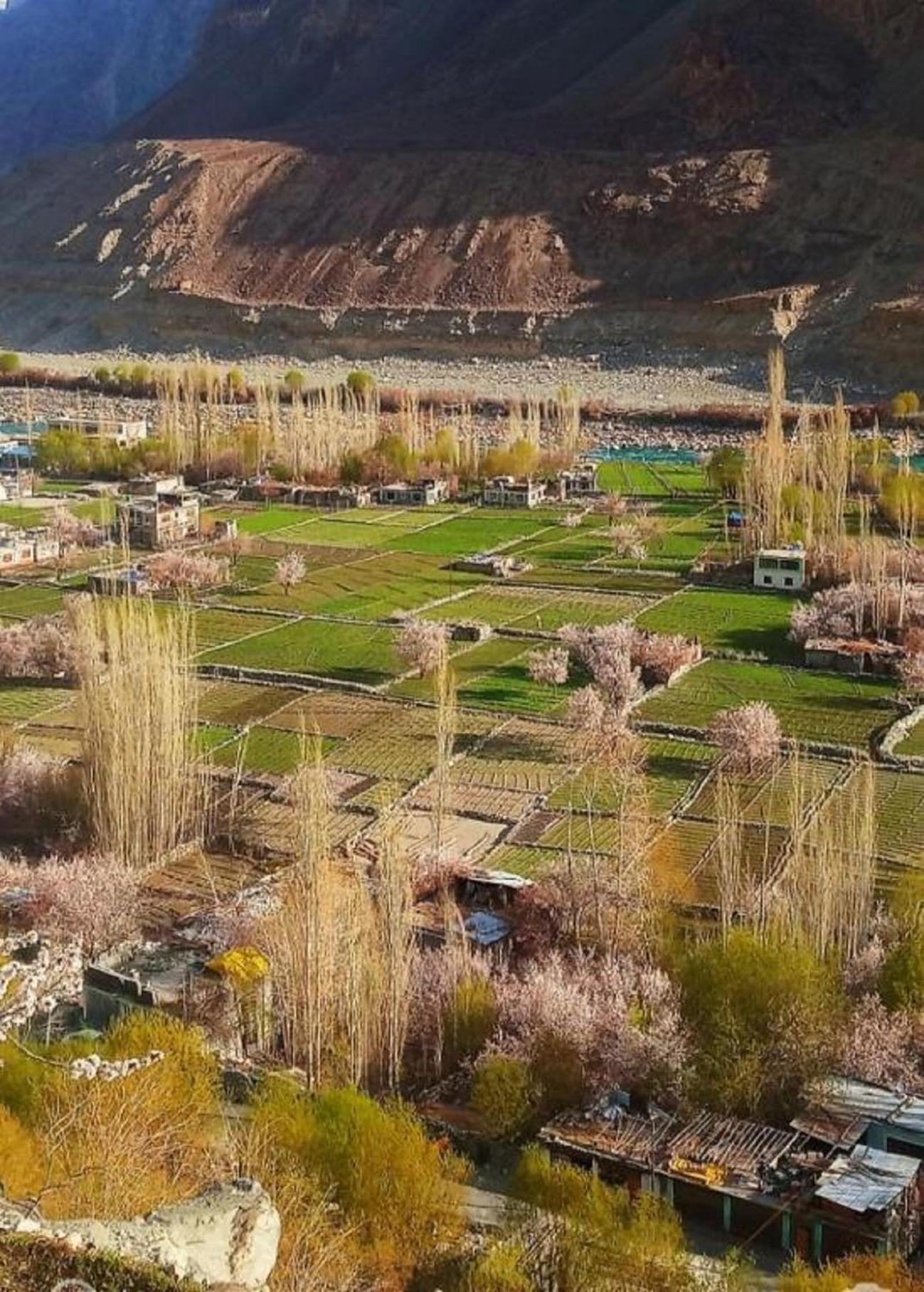 Hotel The Stone Palace-Turtuk Valle di Valle di Nubra Esterno foto